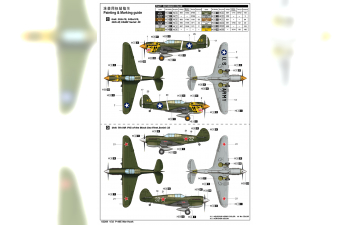 Сборная модель Авиация P-40E War Hawk