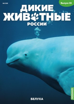 Дикие животные России № 33: Белуха