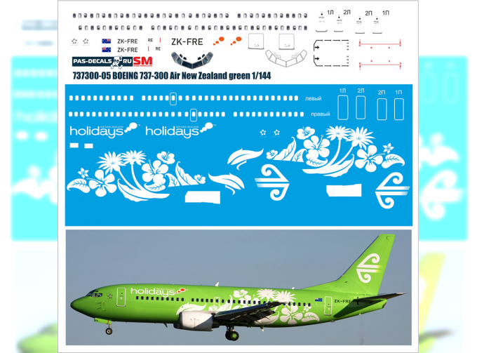 Декаль на Boeng 737-300 Air New Zeland Millenium