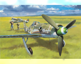 Сборная модель Focke Wulf FW 190D-13