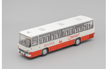 IKARUS 255.70 амарант