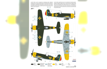 Сборная модель IAR-81 BoPi