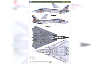 Сборная модель Grumman F-14D Super Tomcat