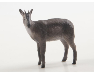 Дикие животные России № 34: Амурский горал (только вложение)