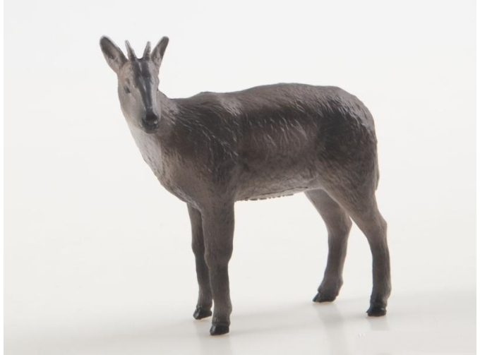 Дикие животные России № 34: Амурский горал (только вложение)