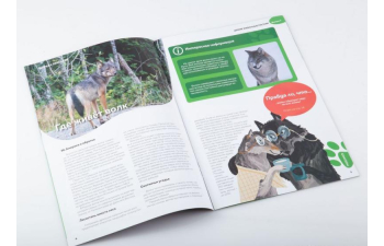 Дикие животные России № 7: Волк