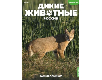 Дикие животные России № 38: Камышовый кот