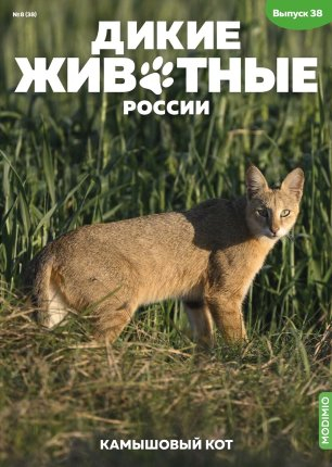 Дикие животные России № 38: Камышовый кот
