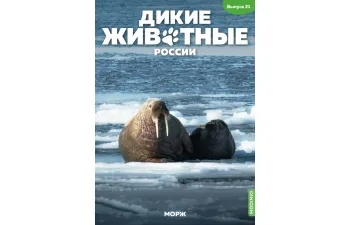 Дикие животные России № 21: Морж