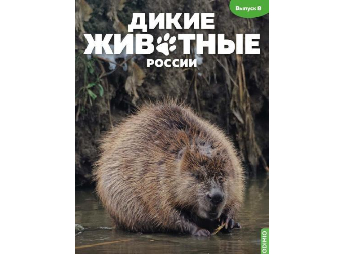 Дикие животные России № 8: Бобр
