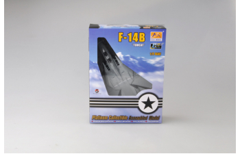 F-14B VF-143 2001