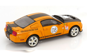 FORD Shelby Mustang Terlingua Racing Team (2008), orange black