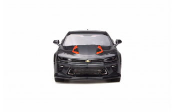 Chevrolet Camaro SS Fifty Anniversary (grey)