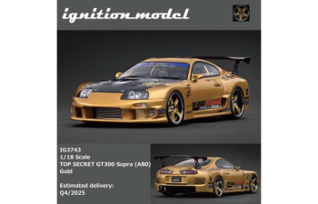 TOYOTA TOP SECRET GT300 Supra (A80), gold