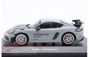 PORSCHE Cayman 718 (982) GT4 RS Track Experience, sport grey / black