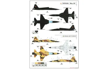 Сборная модель Northrop F-5E Tiger II Early Version