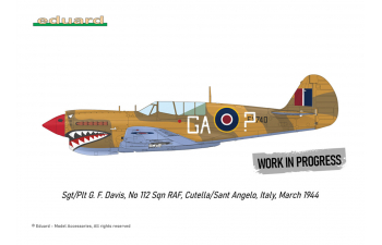 Сборная модель Двойной комбо-набор P-40N Warhawk Royal Cass