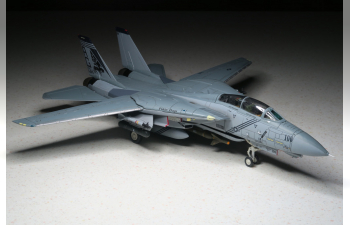 Grumman F-14B Tomcat Diecast Model USN VF-143 Pukin Dogs AG100 NAS Oceana VA 2005 (Wings of Heroes)