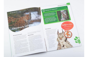 Дикие животные России № 9: Рысь