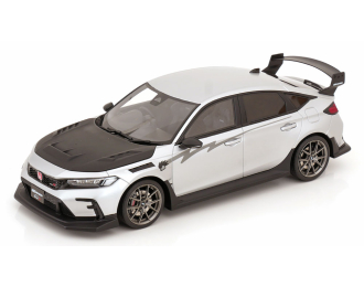 HONDA Civic Type R Mugen Group B (2024), matt-silver matt-black