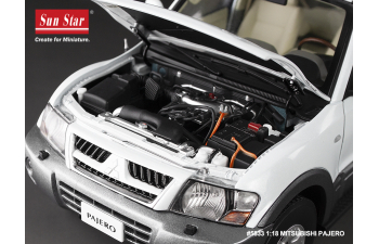 MITSUBISHI Pajero 3.5l V6 V73 (2006), White Grey