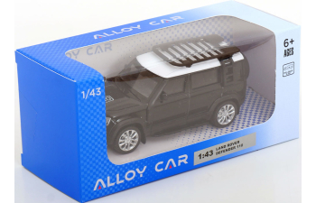 LAND ROVER Defender 110, black/white