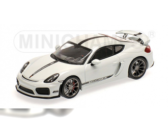 PORSCHE Caymann GT4 (2016), white