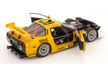 CHEVROLET Corvette C5-R No 3 Winner ALMS Texas, Pilgrim/Fellows (2000)