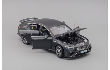 MERCEDES-BENZ AMG GT63s, gray matt