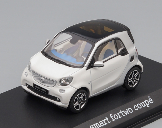 SMART ForTwo Coupe С453 (2014), cool silver / moon white mat