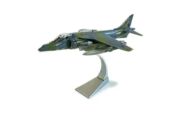 BAE Harrier GR9A ZG506/P77 Ninja 1 RAF Cottesmore Wing (2010)