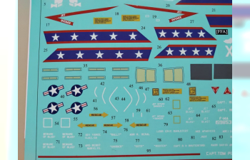 Декаль для F-14A/D Tomcat Black Bunny FFA (удаляемая лаковая подложка)