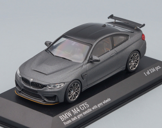 BMW M4 GTS 2016 Matt grey, grey wheels