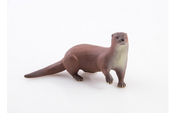 Дикие животные России № 13: Выдра