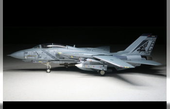 Grumman F-14B Tomcat Diecast Model USN VF-143 Pukin Dogs AG100 NAS Oceana VA 2005 (Wings of Heroes)