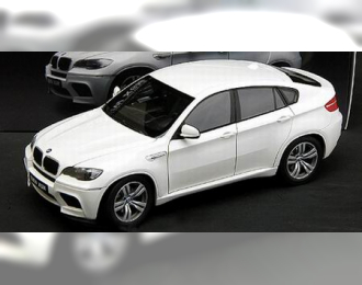 BMW X6M E71M (2009), white