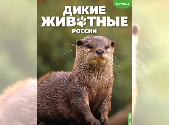 Дикие животные России № 13: Выдра
