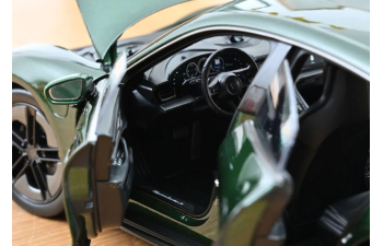 PORSCHE Taycan Turbo S (2024), Oakgreen Neo
