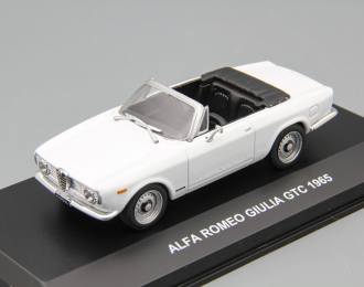 ALFA ROMEO Giulia GTC (1965), white