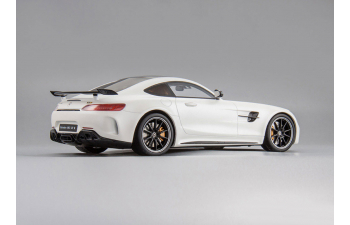 Mercedes-AMG GT-R (white)