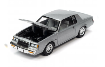 Buick Regal T-Type 1986 Silver Metallic