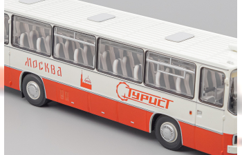 IKARUS 255.70 амарант