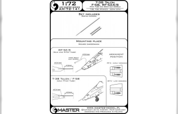 Т-38 Talon / F-5B / RF-5A, E, S - трубка Пито и 20-мм стволы