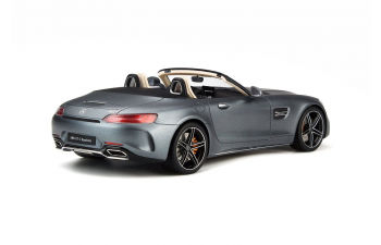 Mercedes-AMG GT C 2017 (grey)