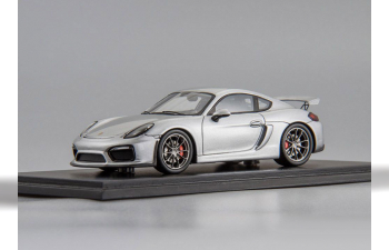 Porsche Cayman GT4 2016