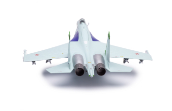 Sukhoi SU-27 Russian Air Force Lipetsk Shark