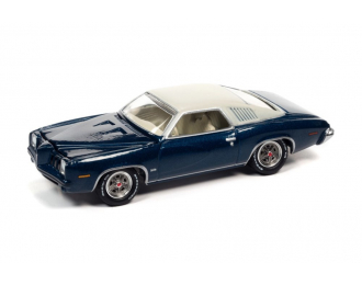 PONTIAC Grand Am (1973), blue