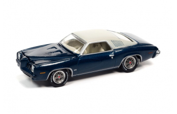 PONTIAC Grand Am (1973), blue