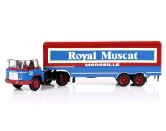 WILLEME LD 610 TBH HORIZON  Royal Muscat (1959), blue/red