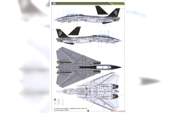 Сборная модель Grumman F-14D Super Tomcat